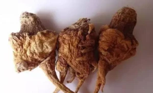 洗澡後能否服用威而鋼?射精延遲的治療方法全解析
